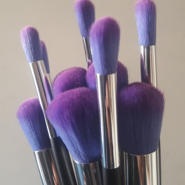 10pcs Profession Makeup Brushes Set